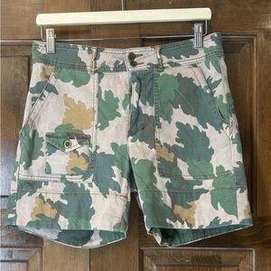 Anthropologie Wanderer Green and Tan Cargo Shorts